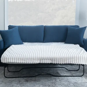Sleeper Sofa